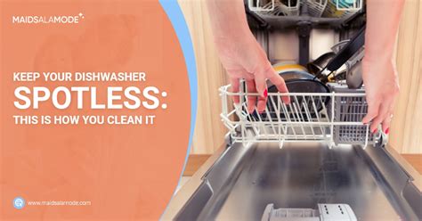 Magic at Your Fingertips: DIY Dishwasher Cleaner Solutions
